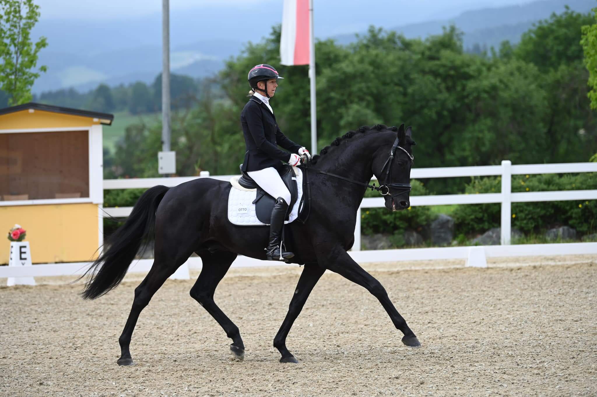 351331540_968618044476006_3580039117350755113_n